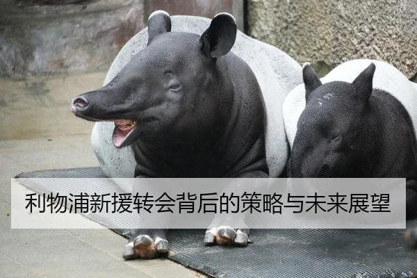 利物浦新援转会背后的策略与未来展望
